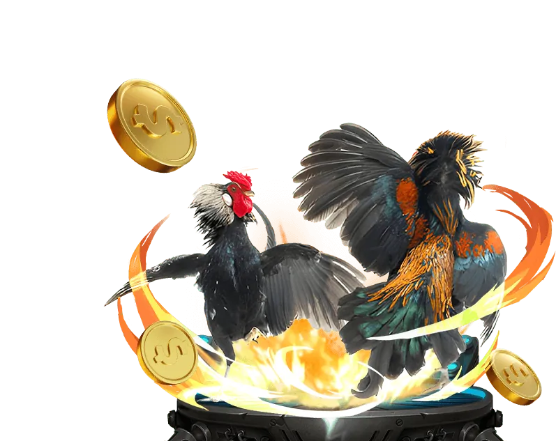 Các bước đăng ký tài khoản 8xBet