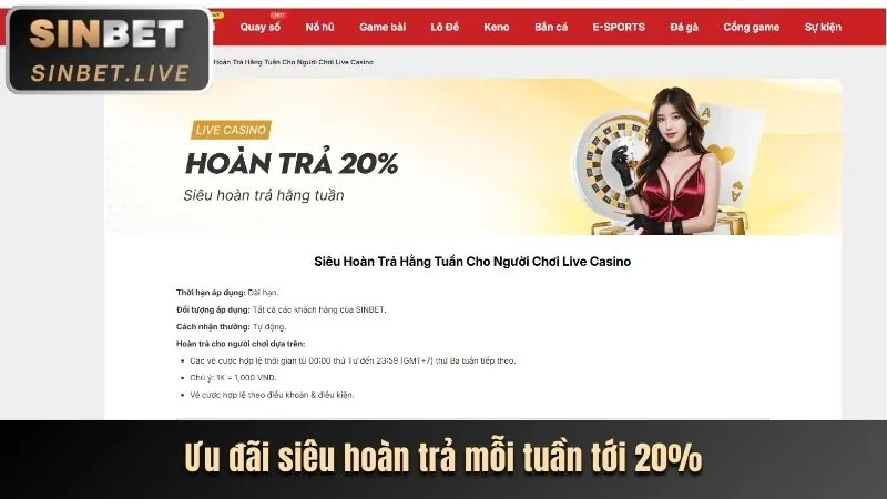 Cam kết dịch vụ của 8xBet